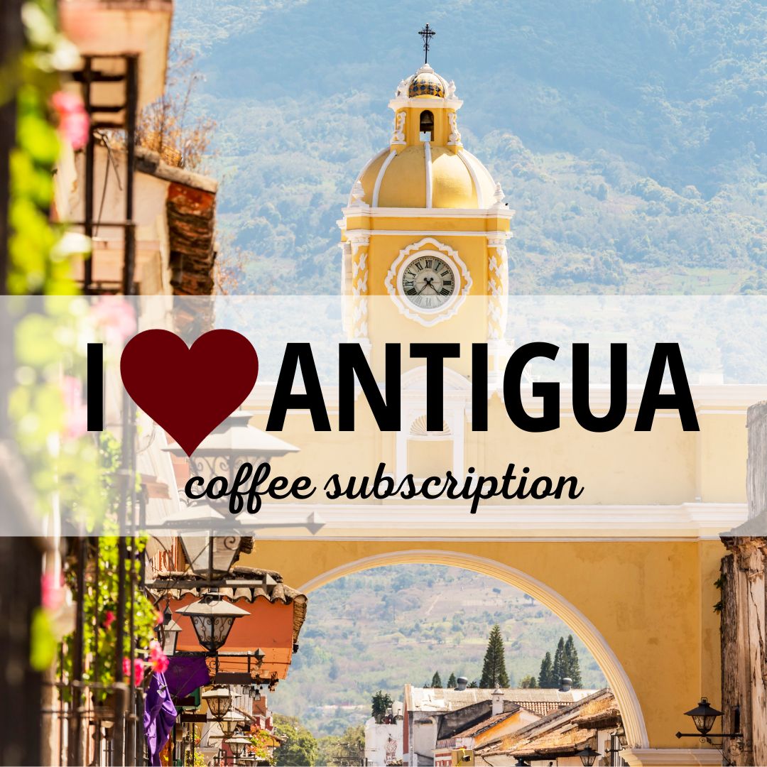 I Love Antigua Subscription