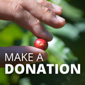 Monthly Donation