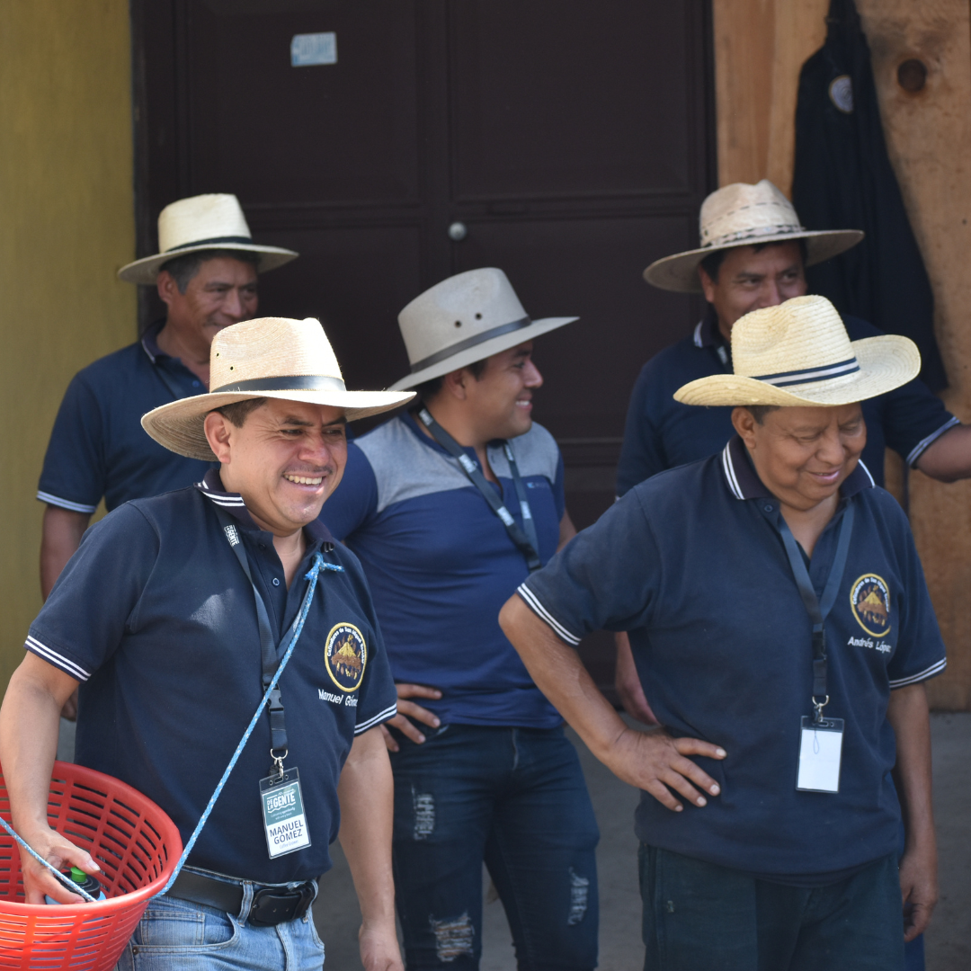Washed Process Coffee From Coffee Growers of San Miguel Escobar
