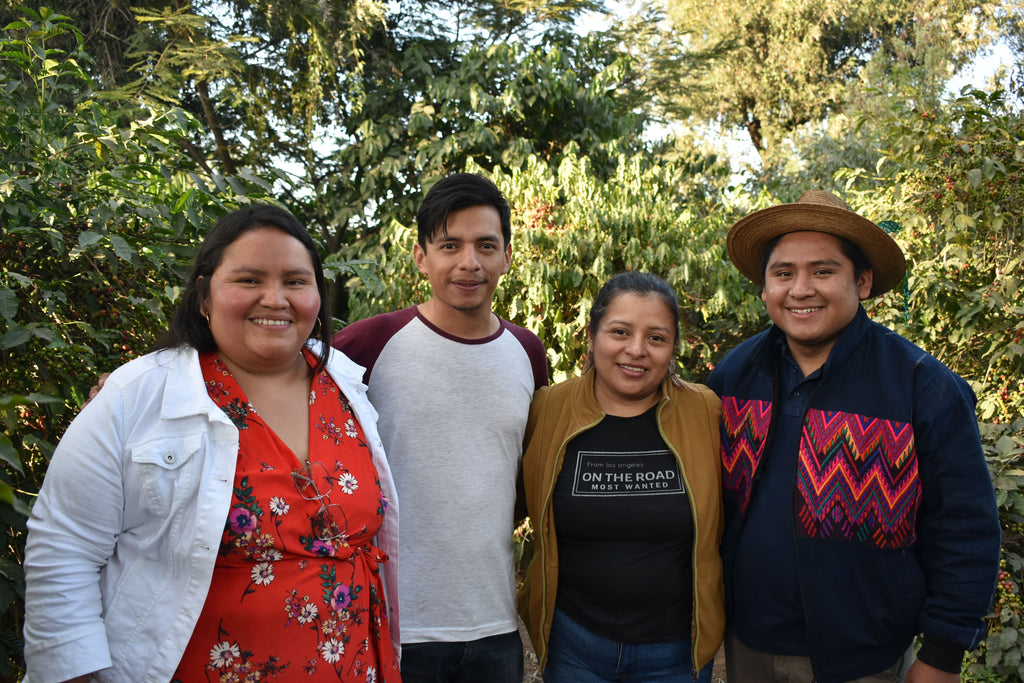 Washed Process Coffee from the Young Entrepreneurs of San Miguel Escobar